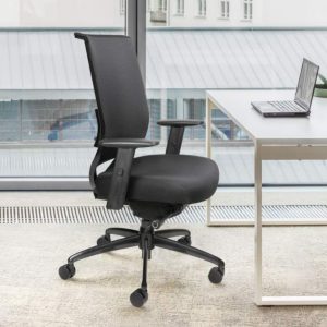 Nifty Mesh Back Home Office Chair
