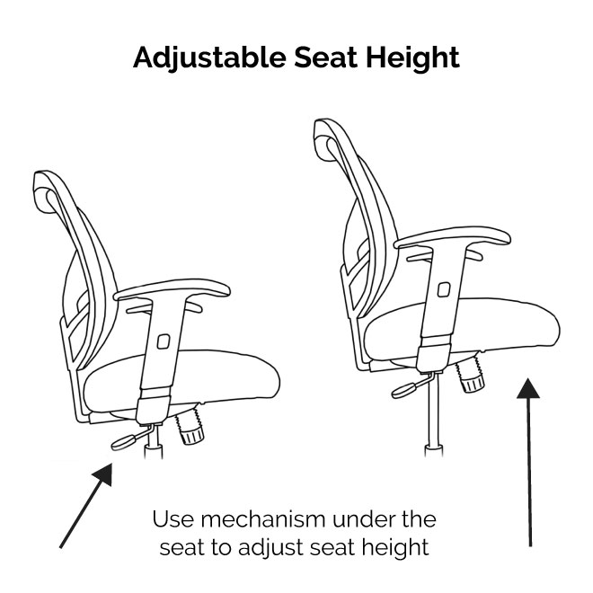 Dandy-Office Chair Has Adjustable Height